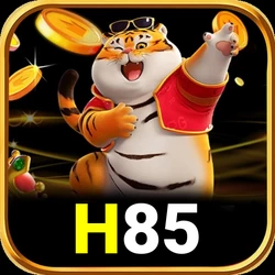 Cara Pasang h85 di HP Android dengan Benar